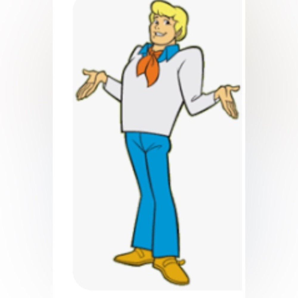 Freddie from Scooby Doo costume.  Great group idea.